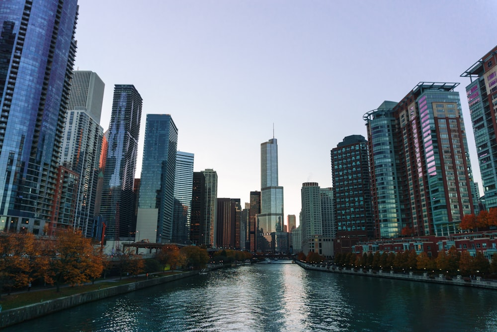 A serene evening view of the Chicago River.