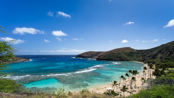 hanauma-bay-snorkeling-paradise-hawaii_59286-643