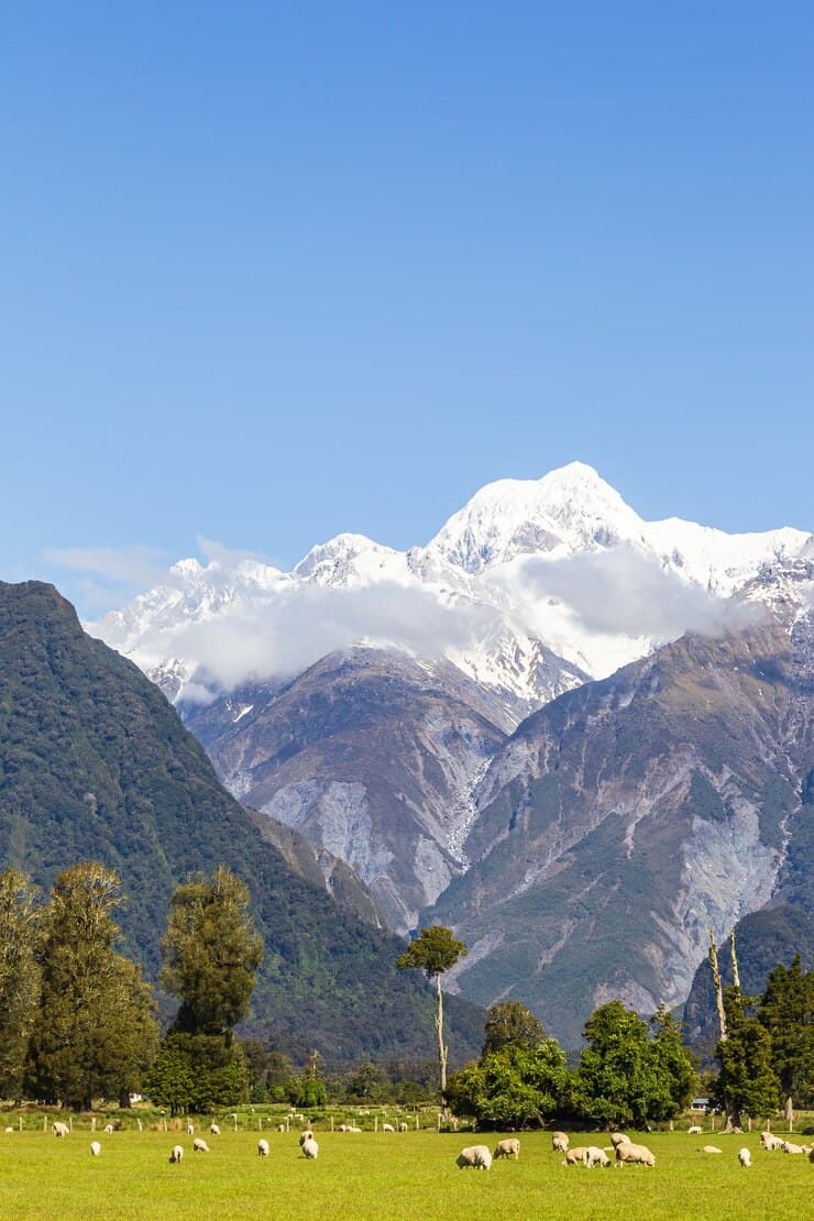 mount-cook-landscapes-south-island-southern-alps-new-zealand_211856-972